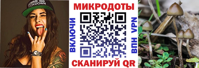 где купить наркоту  Сураж  Псилоцибиновые грибы MAGIC MUSHROOMS 